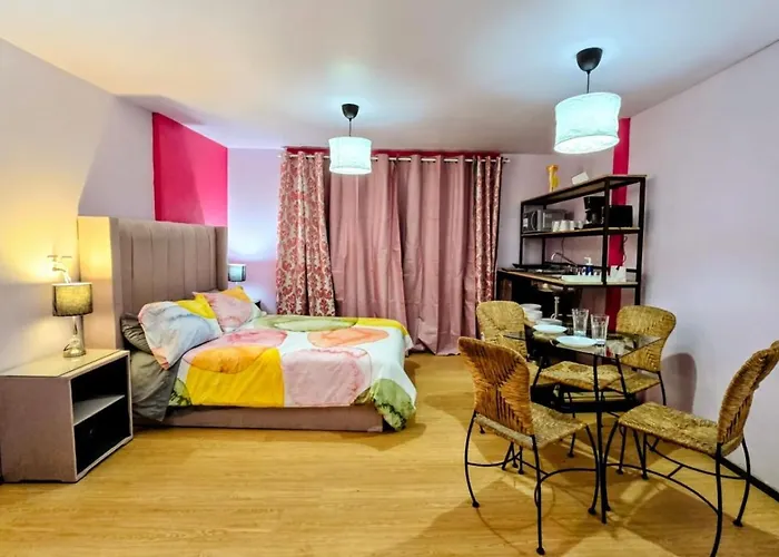 Сasa de vacaciones Rosa Familiar Hasta 6 Huéspedes Amplia, Céntrica, Con Cocineta Y Baño Privado México DF