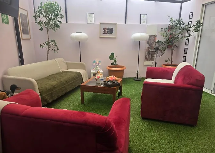 Rosa Familiar Hasta 6 Huéspedes Amplia, Céntrica, Con Cocineta Y Baño Privado México DF